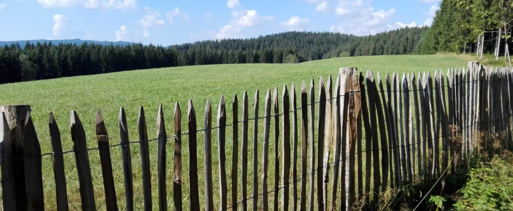 Camping Bühlhof
