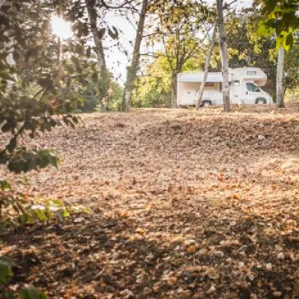 camping-opatija-icici-6f7nq