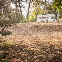 camping-opatija-icici-6f7nq