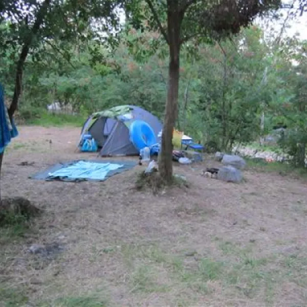 camping-opatija-icici-8nmwj