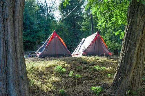 camping-opatija-icici-wzsqd