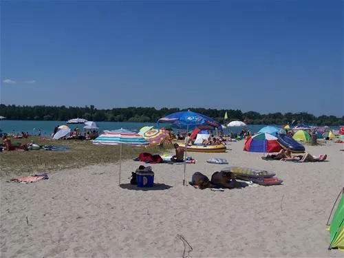 camping-municipal-les-bords-du-rhin-salmengrund-seltz-es2ye