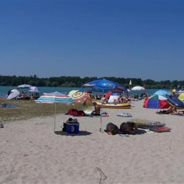 camping-municipal-les-bords-du-rhin-salmengrund-seltz-es2ye
