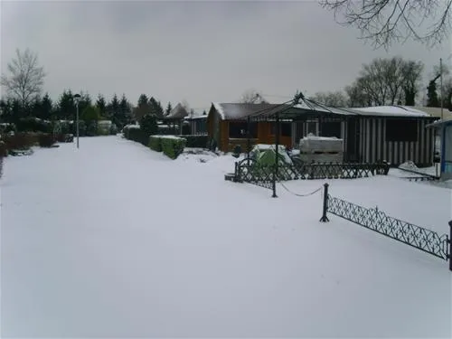 camping-municipal-les-bords-du-rhin-salmengrund-seltz-iaoqr