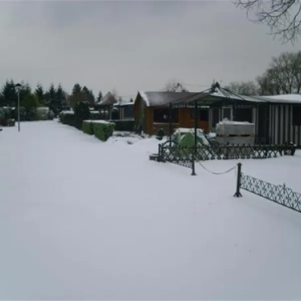 camping-municipal-les-bords-du-rhin-salmengrund-seltz-iaoqr
