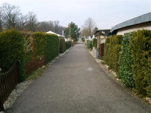 camping-municipal-les-bords-du-rhin-salmengrund-seltz-uronk