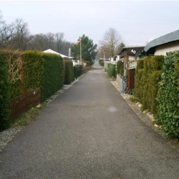 camping-municipal-les-bords-du-rhin-salmengrund-seltz-uronk