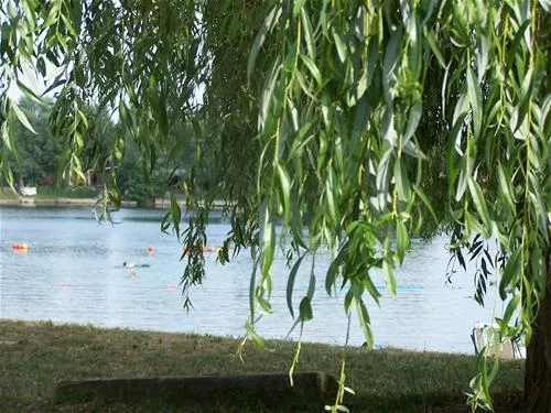 camping-municipal-les-bords-du-rhin-salmengrund-seltz-vezja