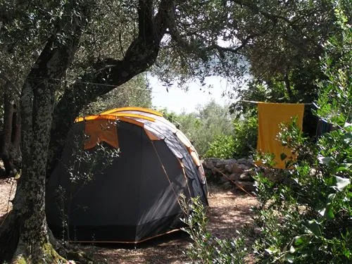 camping-pod-maslinom-oraac-4acjg