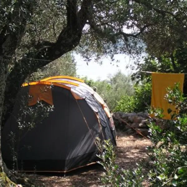camping-pod-maslinom-oraac-4acjg