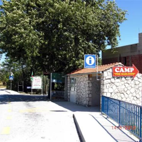 camping-pod-maslinom-oraac-erdat