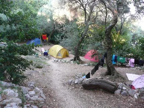 camping-pod-maslinom-oraac-o4ma6