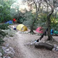 Camping Pod Maslinom