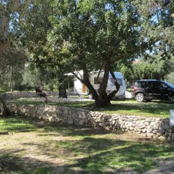 camping-pod-maslinom-oraac-rl09o