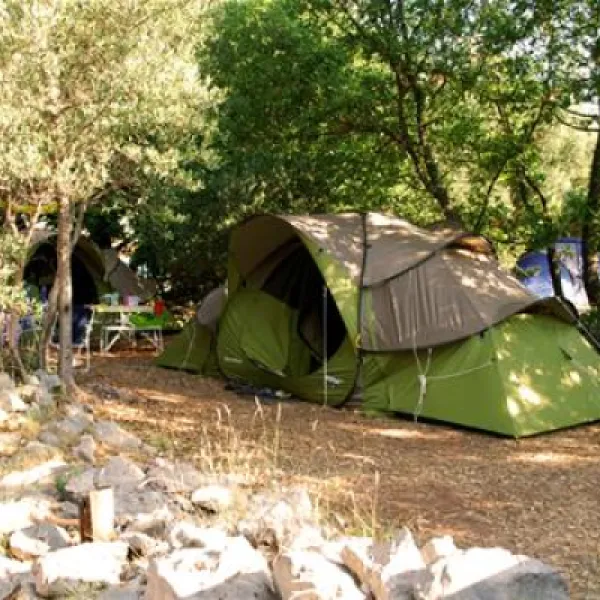 camping-pod-maslinom-oraac-yswty