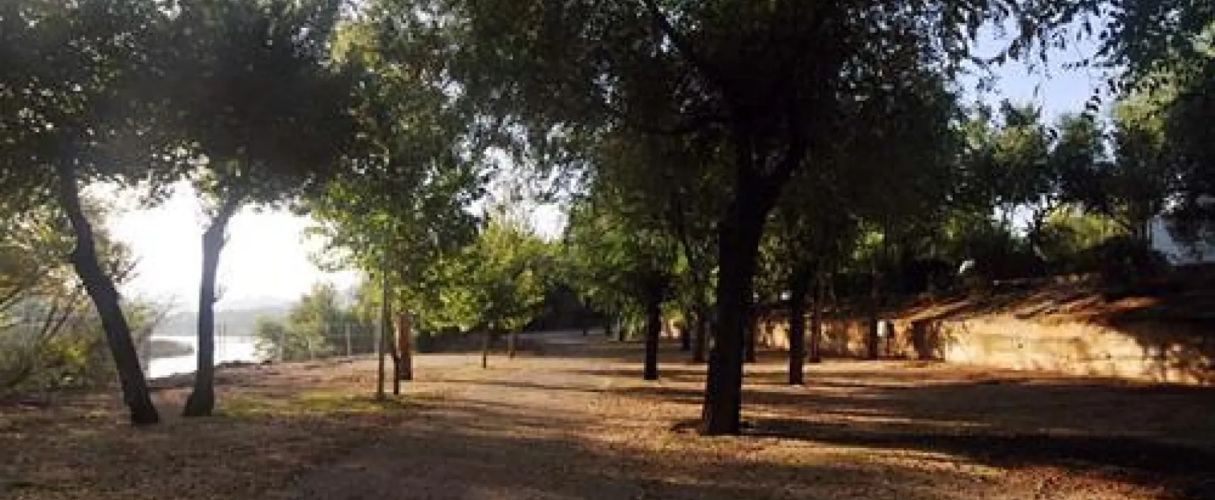 Camping el Greco