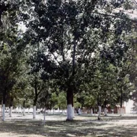 camping-alexandros-kavala-fd4pi