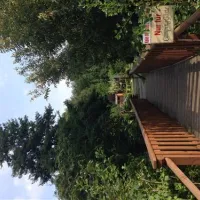 klostercamping-thale-thale-daobk