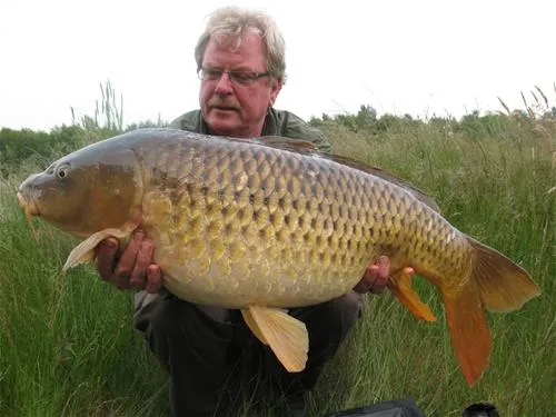 recreatiepark-ermerstrand-erm-l4ler