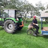 vakantieboerderij-de-hoogewaard-winssen-ho5dj