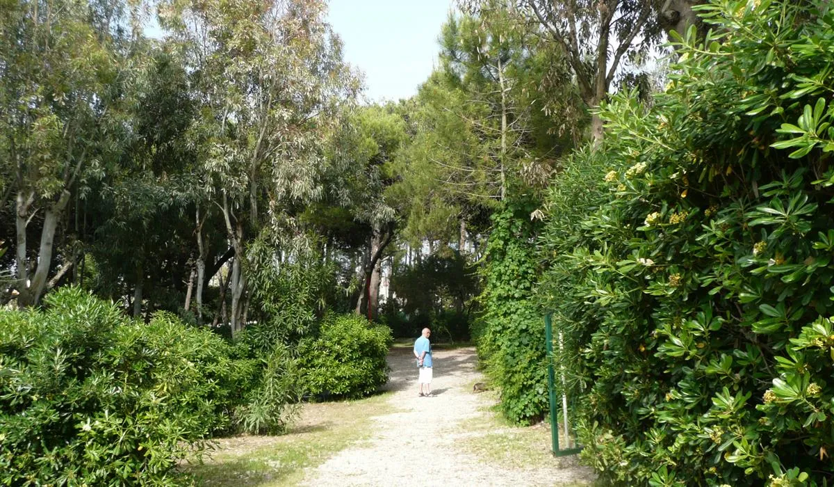 campeggio-villagio-dei-pini-paestum-cgprp