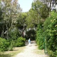 campeggio-villagio-dei-pini-paestum-cgprp