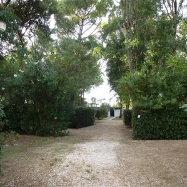 campeggio-villagio-dei-pini-paestum-qwlsu