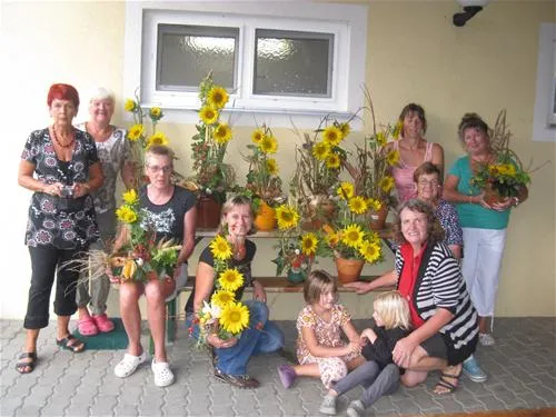 thermenland-camping-rath-und-pichler-bad-waltersdorf-c8ghe