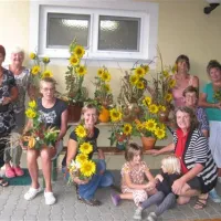 thermenland-camping-rath-und-pichler-bad-waltersdorf-c8ghe