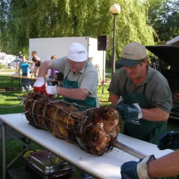 thermenland-camping-rath-und-pichler-bad-waltersdorf-evyug