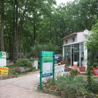 camping-la-musardiere-milly-la-foret-brrdv