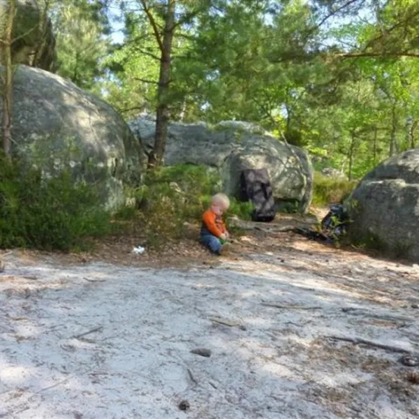 camping-la-musardiere-milly-la-foret-xkvpf