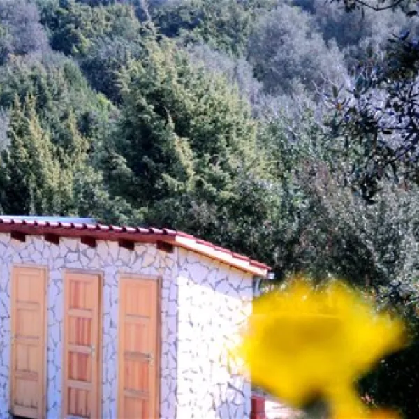 kamp-dugi-otok-dugi-otok-psmyn