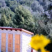 kamp-dugi-otok-dugi-otok-psmyn