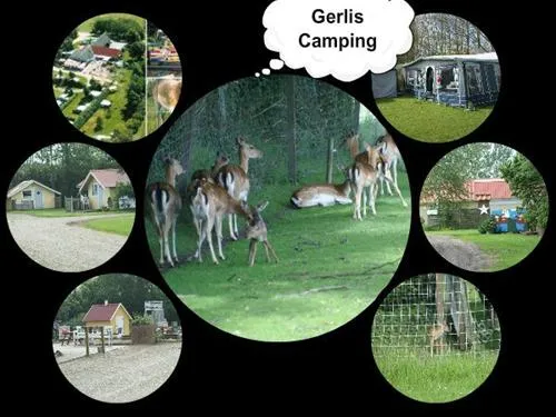 gerlis-camping-nykbing-m-9vto7