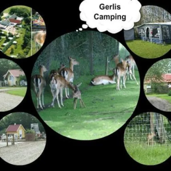 gerlis-camping-nykbing-m-9vto7
