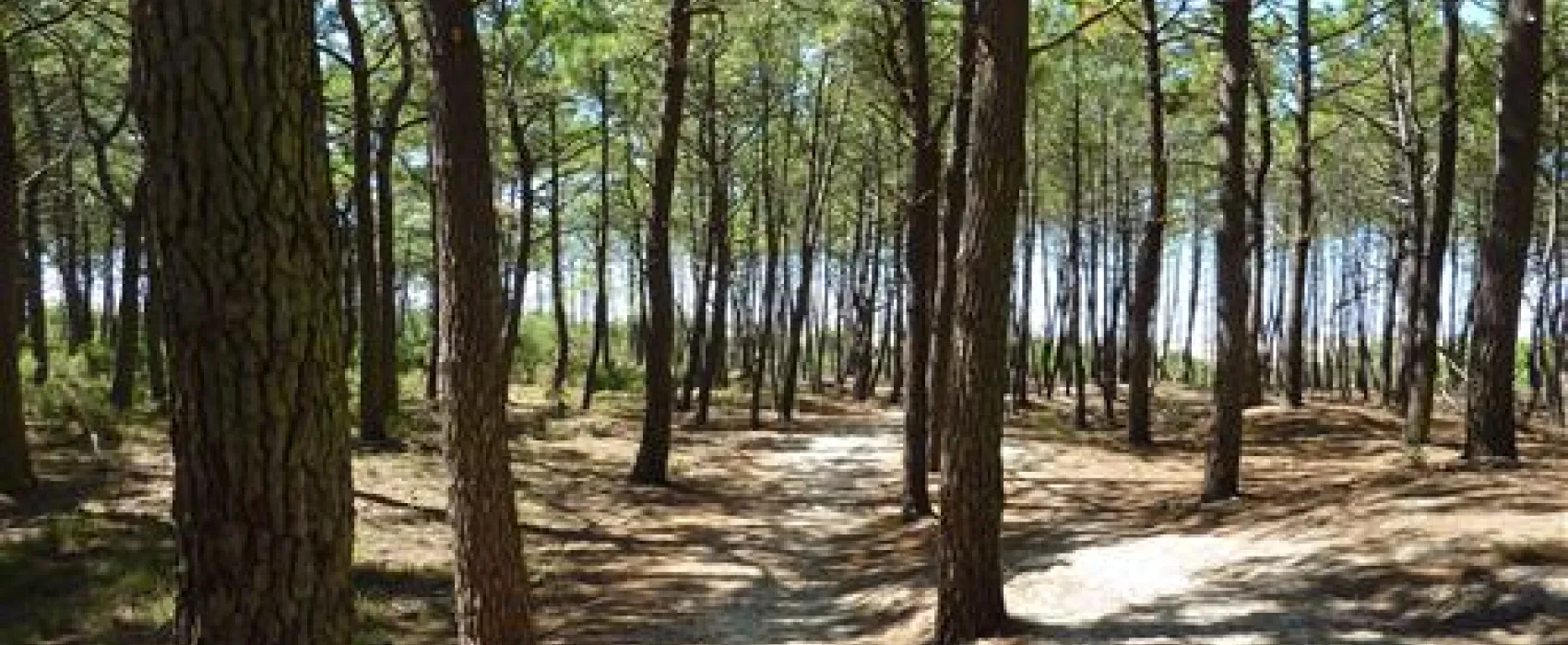 Camping Atlandes