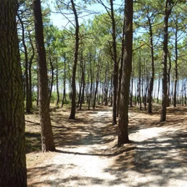 camping-atlandes-biscarrosse-pylzh