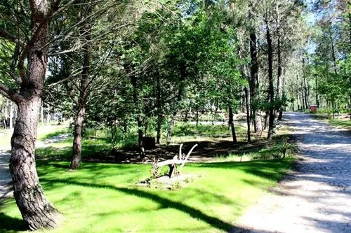 camping-site-lima-escape-entreambososrios-ponte-da-barca-8fk7t