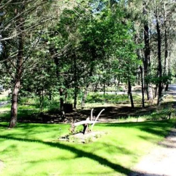 camping-site-lima-escape-entreambososrios-ponte-da-barca-8fk7t