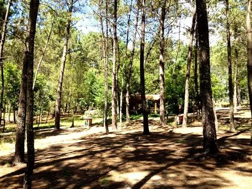 camping-site-lima-escape-entreambososrios-ponte-da-barca-lkqie