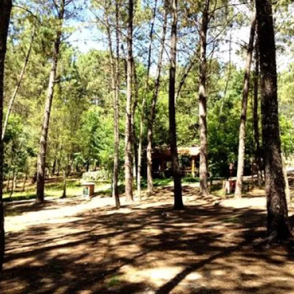 camping-site-lima-escape-entreambososrios-ponte-da-barca-lkqie