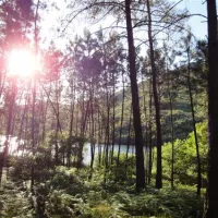 camping-site-lima-escape-entreambososrios-ponte-da-barca-zt9vi