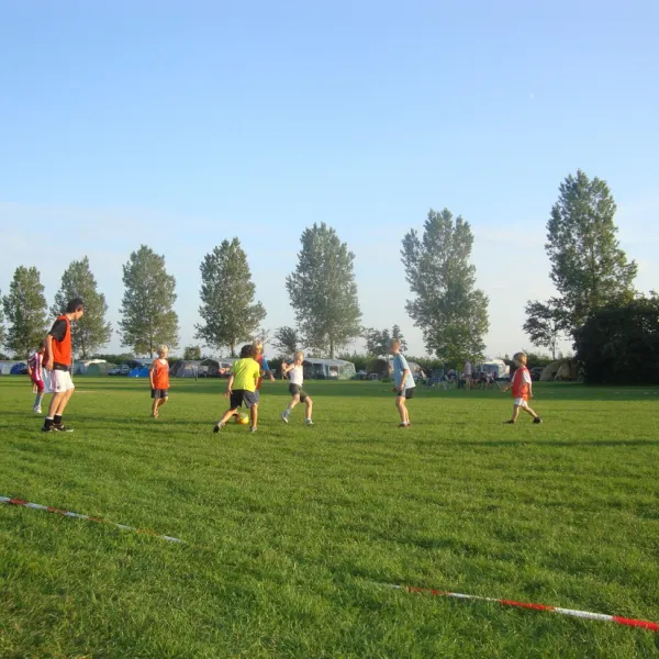 camping-de-wielewaal-cadzand-mssko