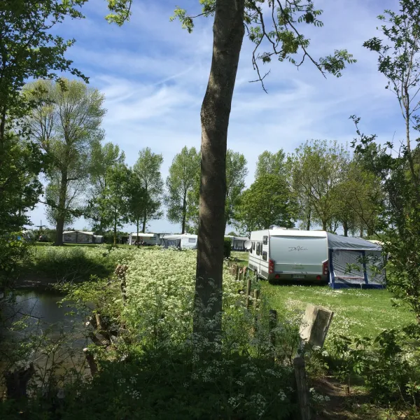 camping-de-wielewaal-cadzand-zpbge