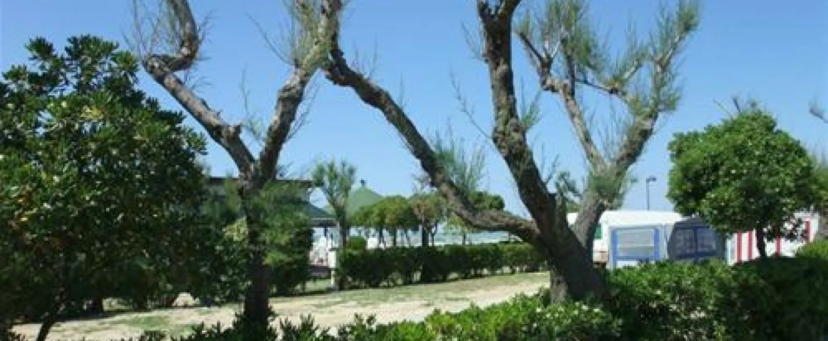 Camping Norina
