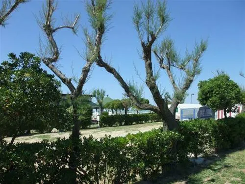 camping-norina-pesaro-wp9lv
