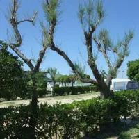 camping-norina-pesaro-wp9lv