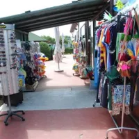 camping-norina-pesaro-ytbqj