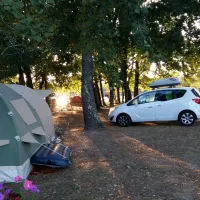 camping-le-chne-du-lac-gironde-hikwo